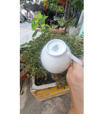 Tách cà phê sứ Minh Long size lớn 220ml